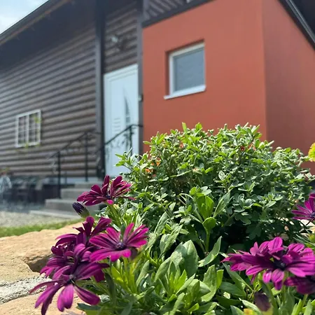 Апартаменты Bajka Na Dan Two Bedroom *