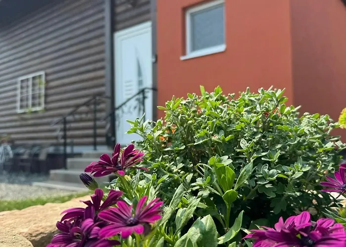 Apartman Bajka Na Dan Two Bedroom *